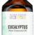 AURA CACIA: 100% Pure Essential Oil Eucalyptus