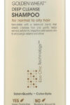 GIOVANNI COSMETICS: Golden Wheat Shampoo For Normal To Oily Hair