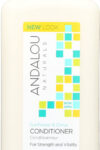 ANDALOU NATURALS: Brilliant Shine Conditioner Sunflower and Citrus