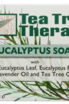 TEA TREE THERAPY: Eucalyptus Bar Soap